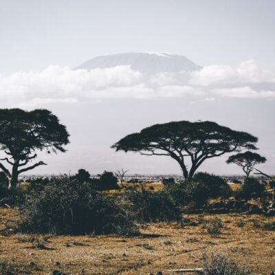 Kilimanjaro and Beyond by Barry Finlay
