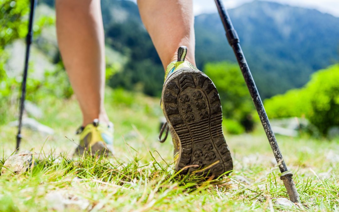 Benefits of Hiking with Trekking Poles