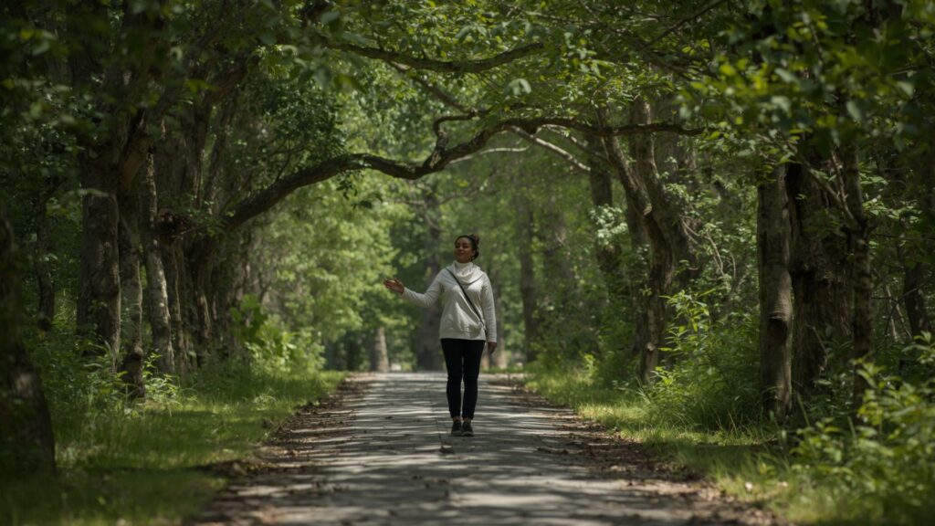 Reasons to start walking include natural mood enhancement through outdoor movement and endorphins