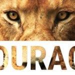 Courage