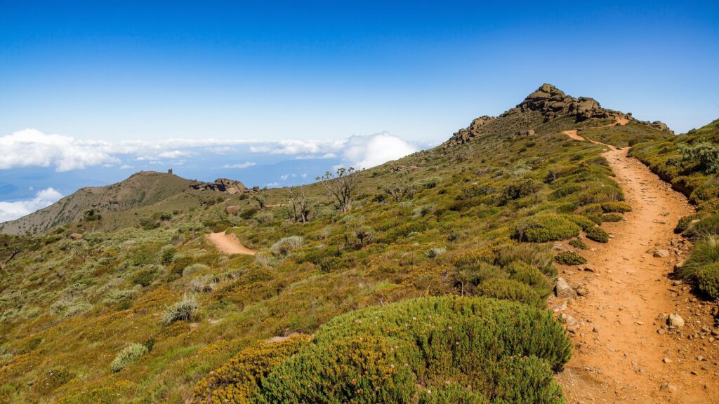 Kilimanjaro trekking route path where Irish harpist conquers Kilimanjaro ascending to summit