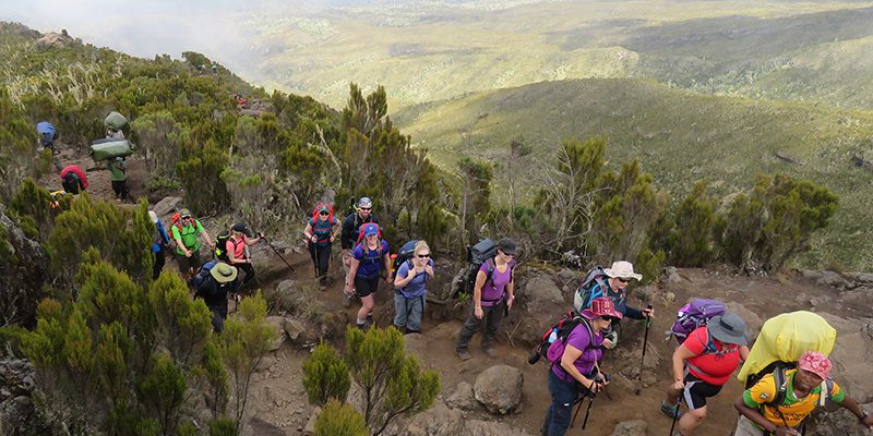 Kilimanjaro - An Ecological Wonderland