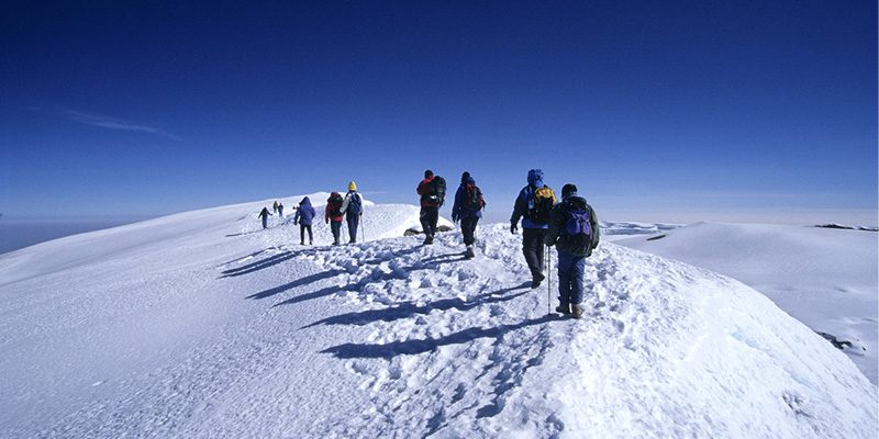 Kilimanjaro - Arctic Chill Near the Equator