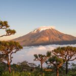 Kilimanjaro facts reveal Africa's highest peak at 5,895 metres with glaciers near the equator