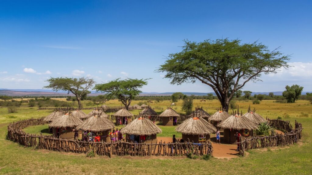 Culture of the Maasai tribe coexists with wildlife as shown in traditional boma homestead on conservation lands
