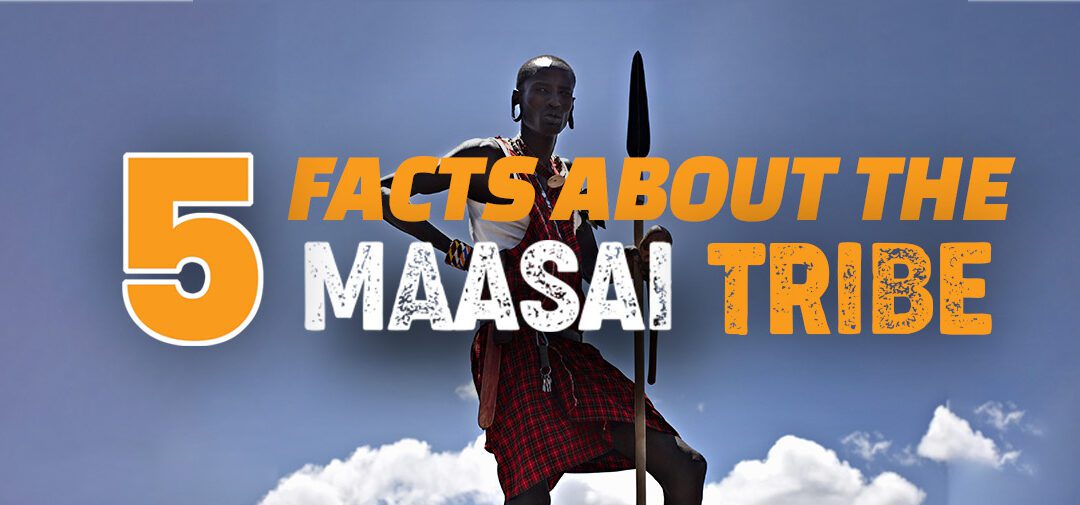Exploring the Rich Culture of the Maasai Tribe