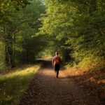 Person experiencing the benefits of walking in nature on a peaceful forest trail in County Kerry Ireland